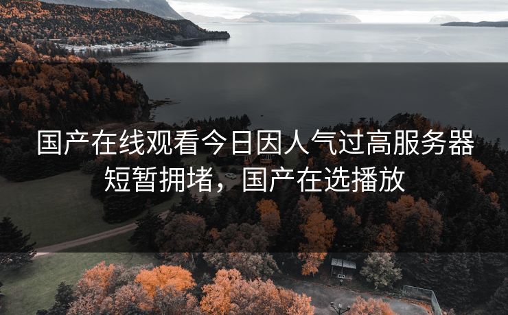 国产在线观看今日因人气过高服务器短暂拥堵，国产在选播放