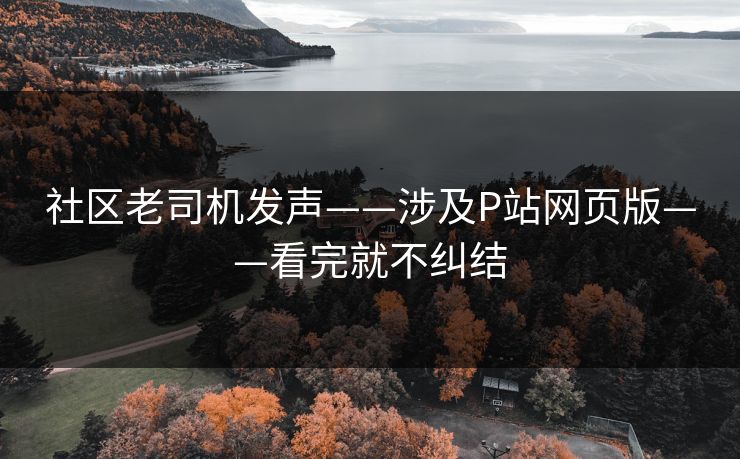 社区老司机发声——涉及P站网页版——看完就不纠结
